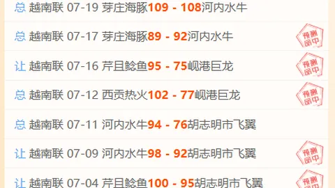 北美战场12胜7负深度解析彩票投注：这支球队为何备受看好